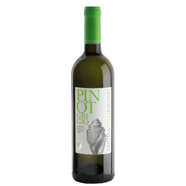 Pinot Grigio Doc Delle Venezie Cantina Colli Euganei 75cl